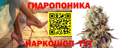 гидропоника Берёзовский