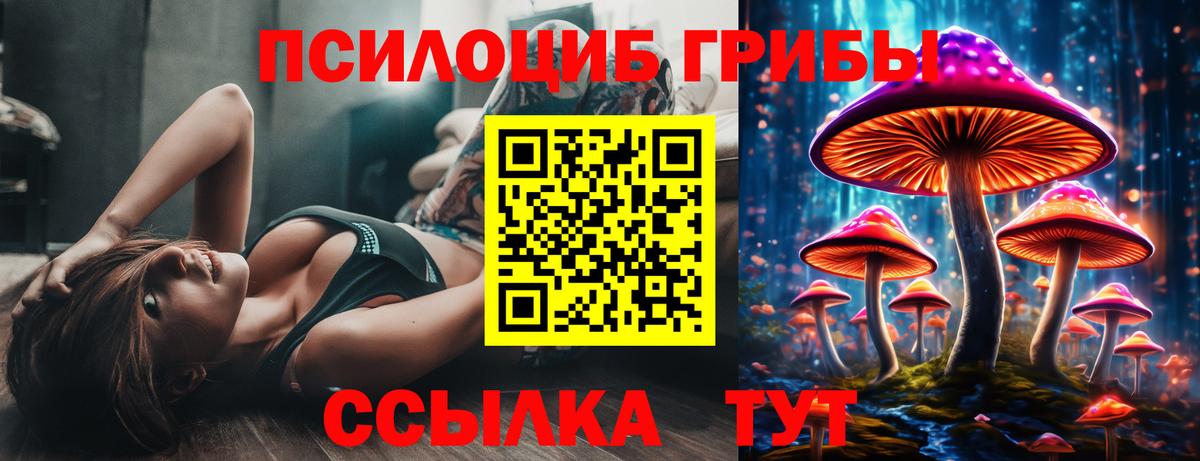 Галлюциногенные грибы GOLDEN TEACHER  Вход с VPN  Гай 