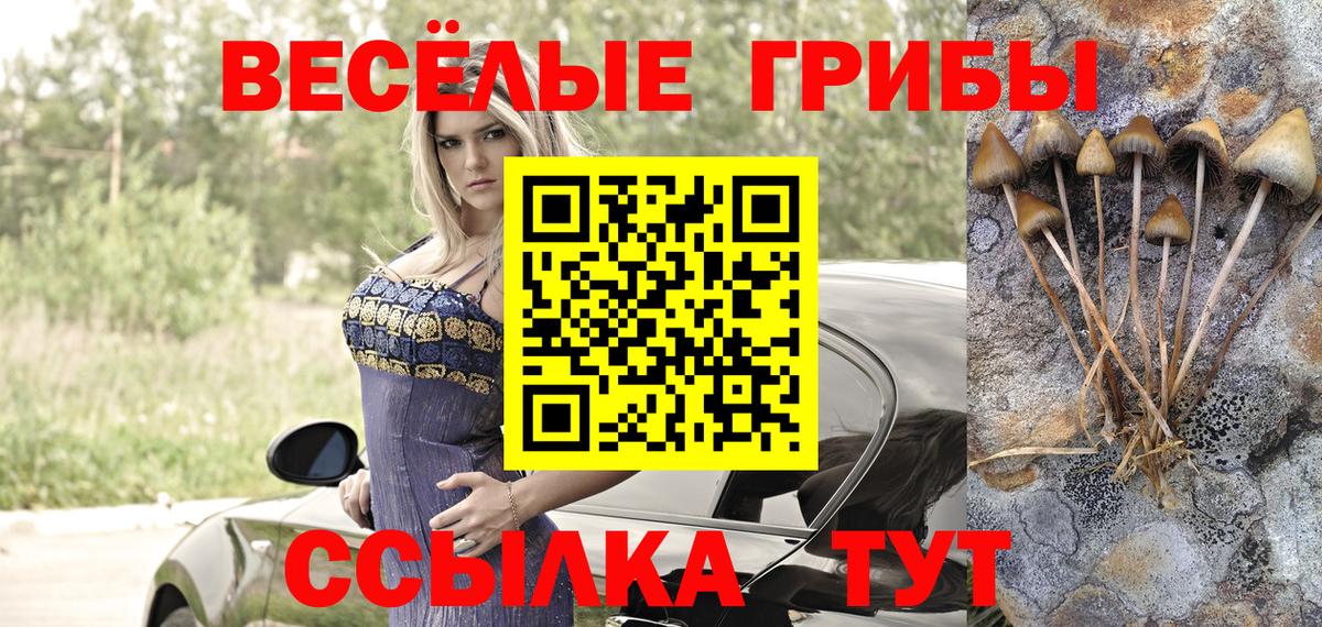 Псилоцибиновые грибы мицелий Гай